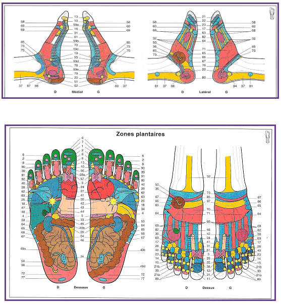 R flexologie Plantaire R flexologue Domicile Paris